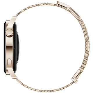 Смарт-часы HUAWEI Watch GT3 42mm Golden Strap