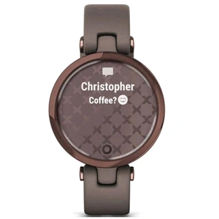 Смарт-часы Garmin Lily Classic Paloma Leather (010-02384-B0)