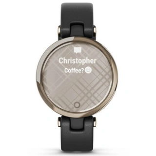 Смарт-часы Garmin Lily Classic Black Leather (010-02384-B1)