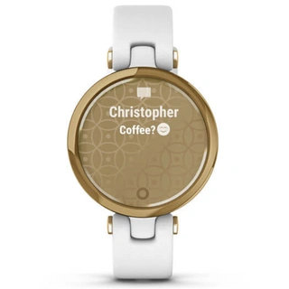 Смарт-часы Garmin Lily Classic Light Gold-White (010-02384-B3)