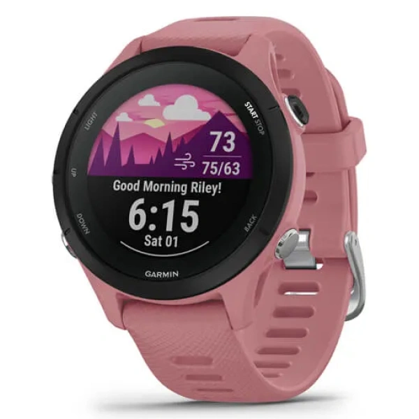 Смарт-часы Garmin Forerunner 255S Purple (010-02641-13)