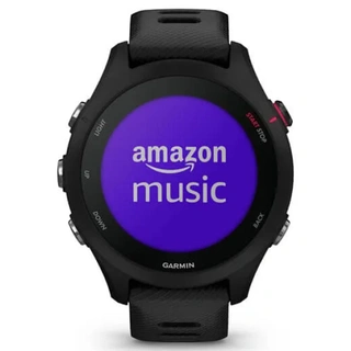 Смарт-часы Garmin Forerunner 255S Music Wi-Fi Black (010-02641-32)
