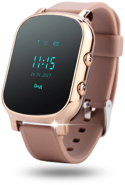 Смарт-часы Wonlex GW700 T58 Gold