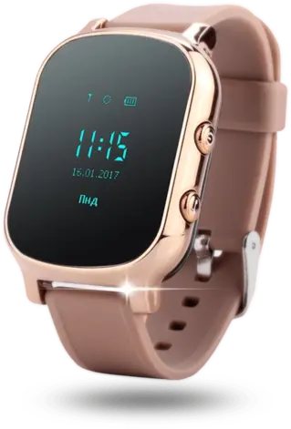 Смарт-часы Wonlex GW700 T58 Gold