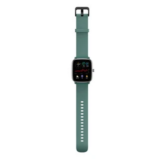 Смарт-часы Amazfit GTS 2 mini Sage Green