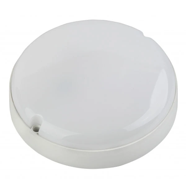 Светильник ЭРА ЖКХ SPB-2-08-65K-R