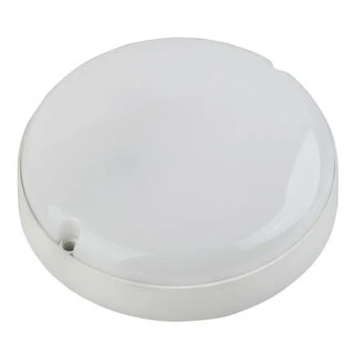 Светильник ЭРА ЖКХ SPB-2-08-65K-R