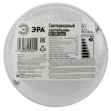 Светильник ЭРА ЖКХ SPB-2-08-65K-R - фото 2
