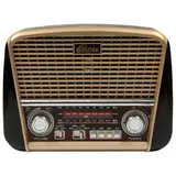 Радиоприемник портативный Ritmix RPR-050 gold