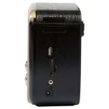 Радиоприемник портативный Ritmix RPR-050 gold - фото 5