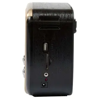 Радиоприемник портативный Ritmix RPR-050 gold