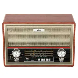 Портативный радиоприемник Ritmix RPR-102 Brown