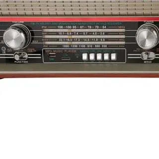 Портативный радиоприемник Ritmix RPR-102 Brown