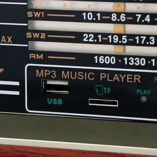 Портативный радиоприемник Ritmix RPR-102 Brown