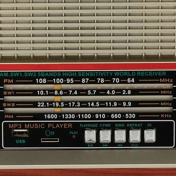 Портативный радиоприемник Ritmix RPR-102 Brown - фото 3