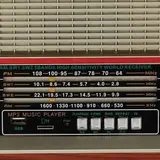 Портативный радиоприемник Ritmix RPR-102 Brown - фото 3