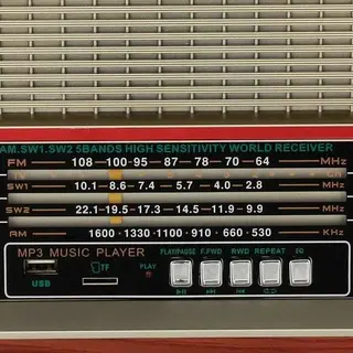 Портативный радиоприемник Ritmix RPR-102 Brown