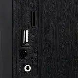 Портативный радиоприемник MAX MR-420 Black - фото 3