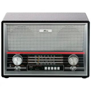 Портативный радиоприемник Ritmix RPR-102 Black
