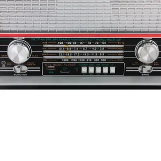 Портативный радиоприемник Ritmix RPR-102 Black