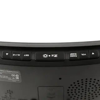 Радиочасы с будильником MAX CR-2906W