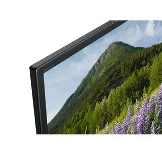 LED телевизор Sony KD-65XF7096