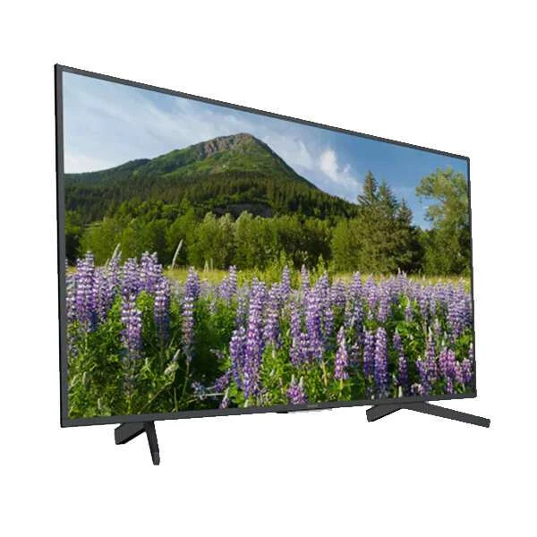 LED телевизор Sony KD-65XF7096 - фото 2