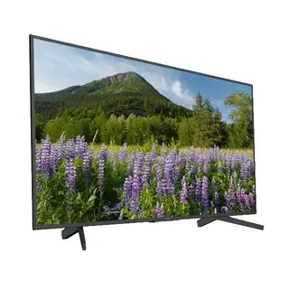 LED телевизор Sony KD-65XF7096