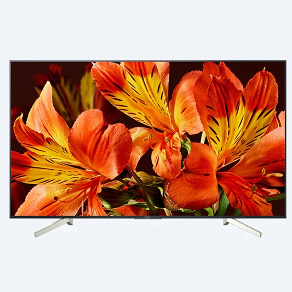 LED телевизор Sony KD49XF8596BR