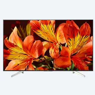 LED телевизор Sony KD49XF8596BR