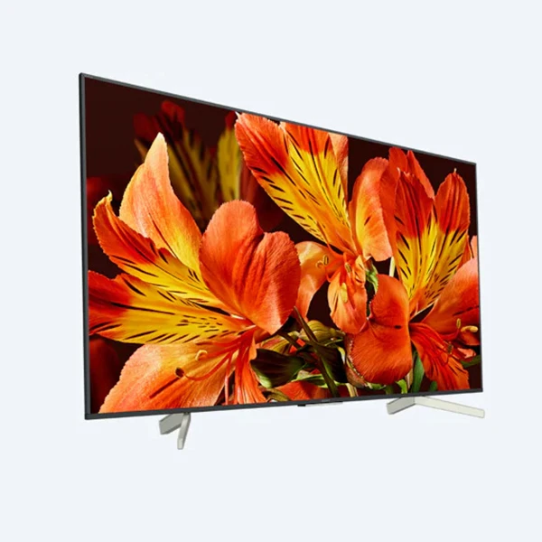 LED телевизор Sony KD49XF8596BR - фото 5
