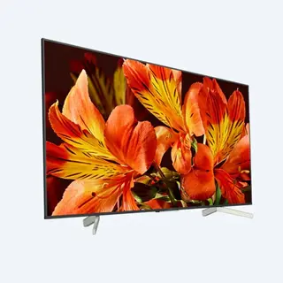 LED телевизор Sony KD49XF8596BR