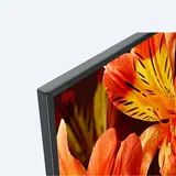 LED телевизор Sony KD49XF8596BR - фото 2