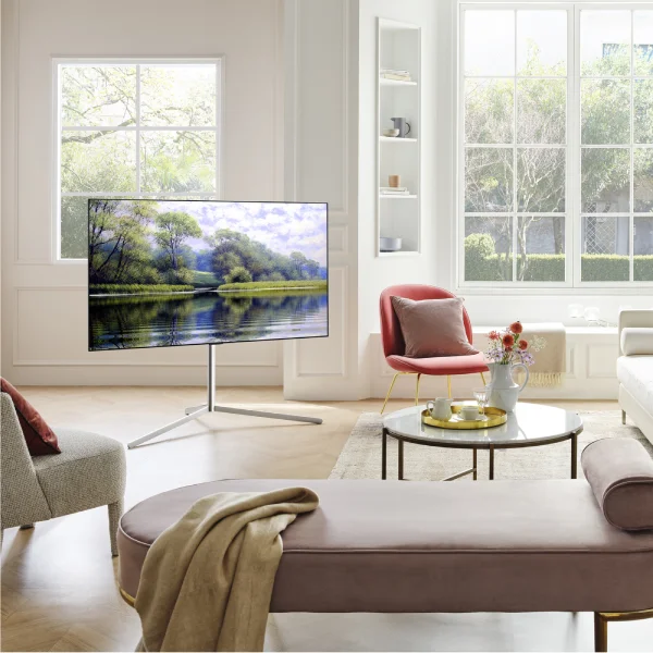 OLED телевизор LG OLED55C1RLA - фото 8