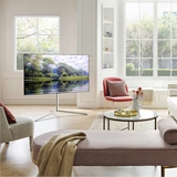 OLED телевизор LG OLED55C1RLA - фото 8