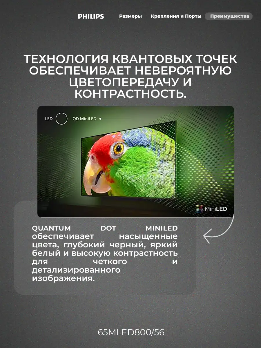 Mini LED телевизор Philips 65MLED800/56 - фото 5