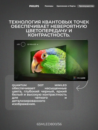 Mini LED телевизор Philips 65MLED800/56 - фото 5
