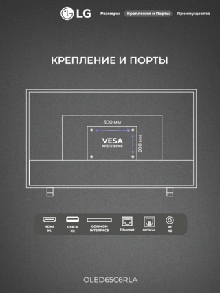 OLED телевизор LG OLED65C6RLA - фото 3