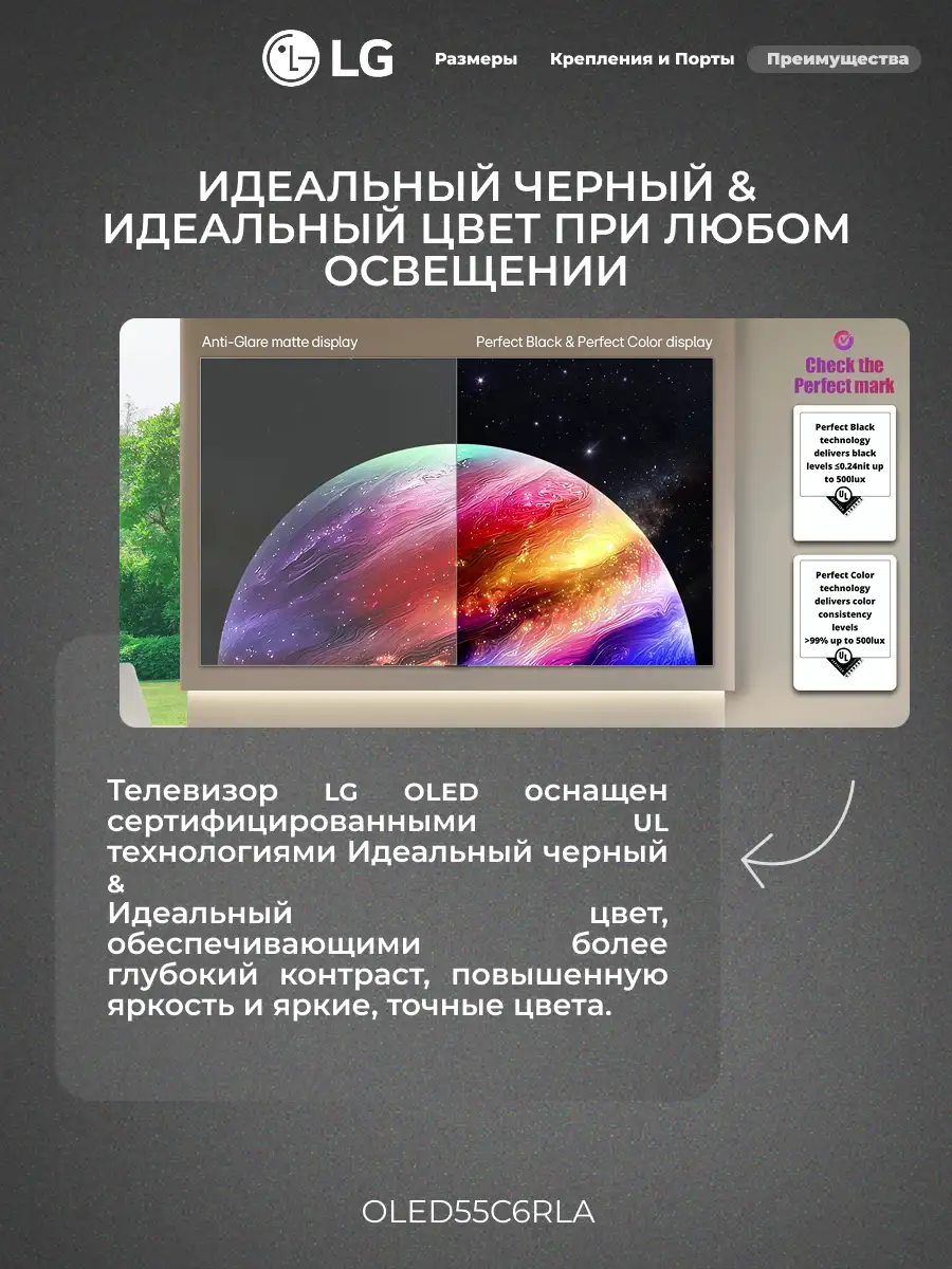 Комплект LG OLED55C6RLA + LG SG10TY  - фото 6
