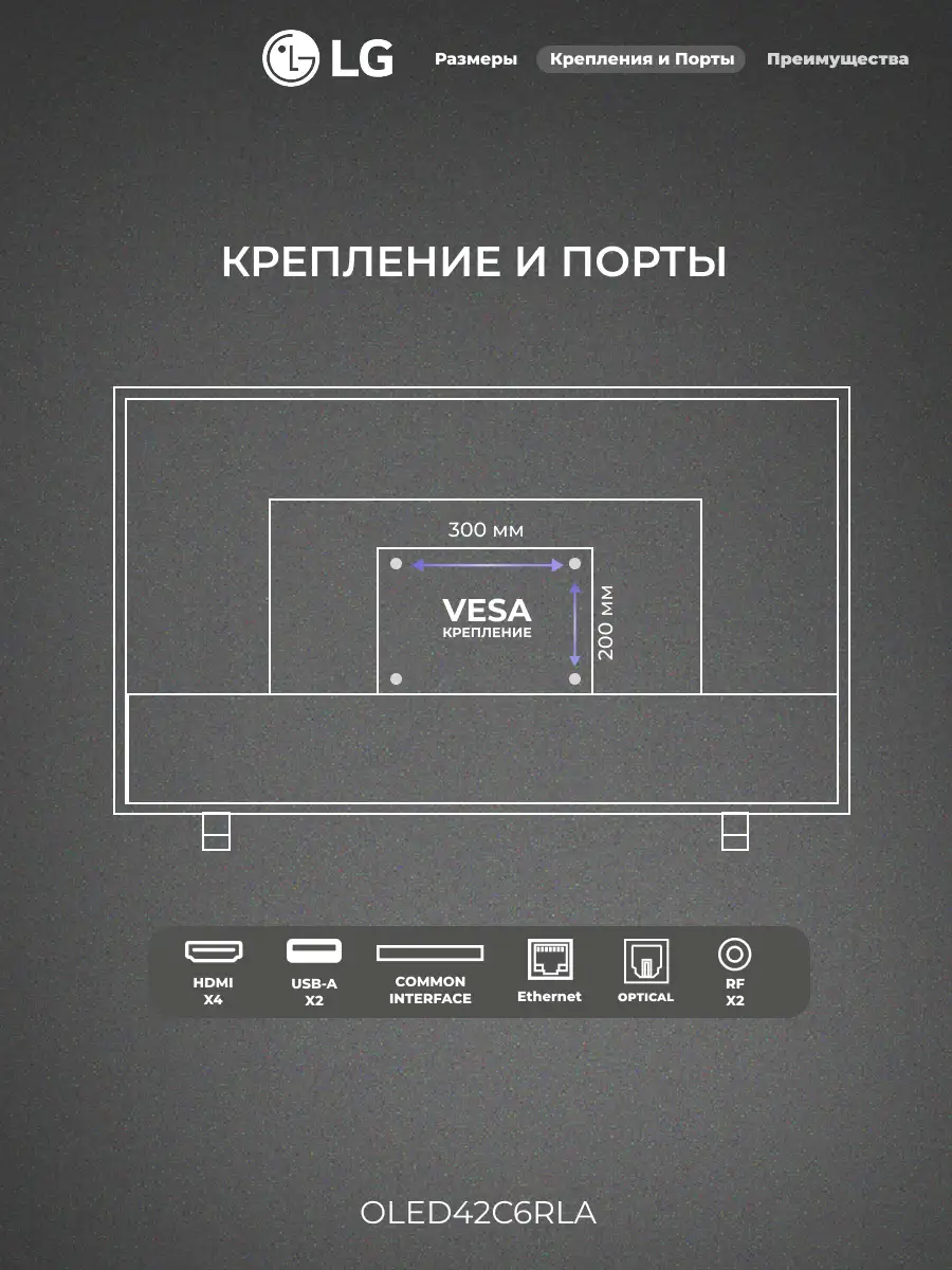 Комплект LG OLED42C6RLA + LG SG10TY  - фото 4