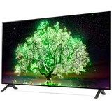 OLED телевизор LG OLED48A1RLA - фото 2