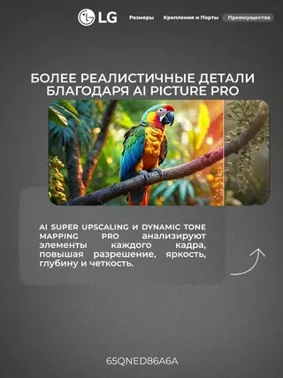 QNED телевизор LG 65QNED86A6A
