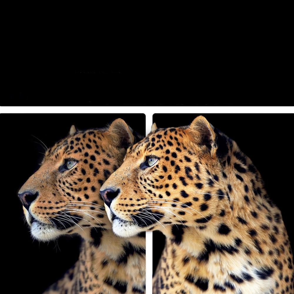 OLED телевизор LG OLED55G5RLA - фото 5