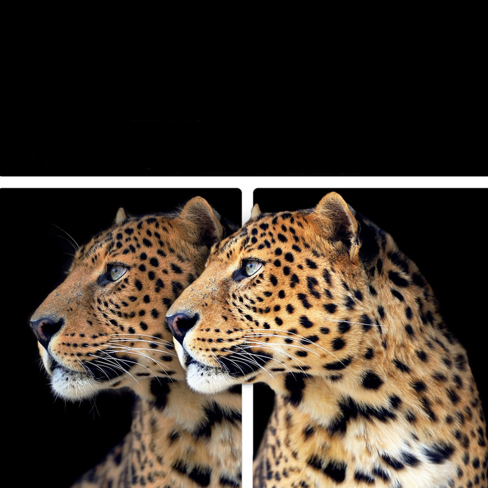 OLED теледидар LG OLED65G5RLA - фото 4