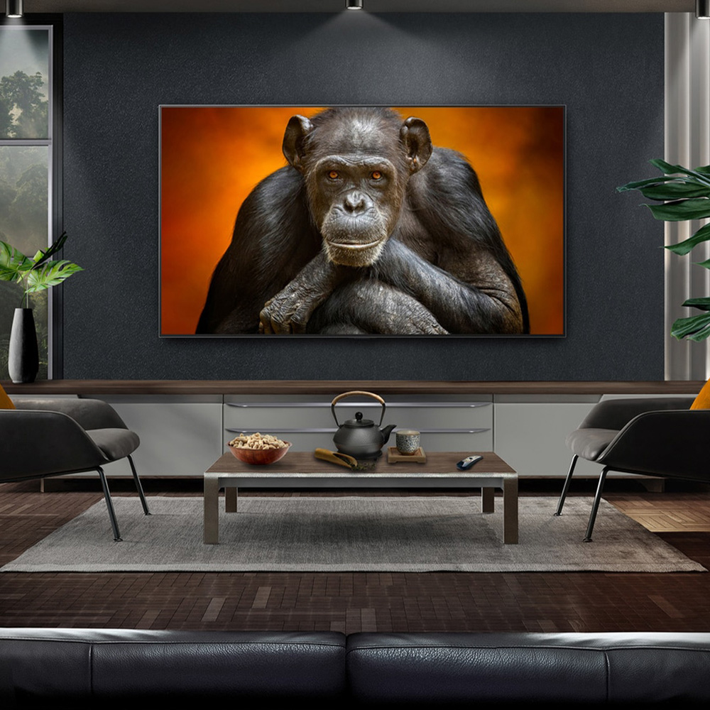 Жиынтық OLED теледидар LG OLED77G5RLA + Mart сөресі Кристалл К 65″  - фото 3