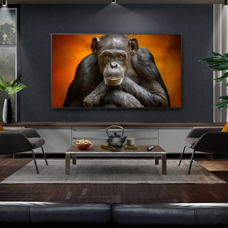 Комплект OLED телевизор LG OLED83G5RLA + Саундбар LG SG10TY 