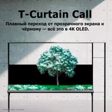 LG OLED теледидары OLED77T49LA - фото 6
