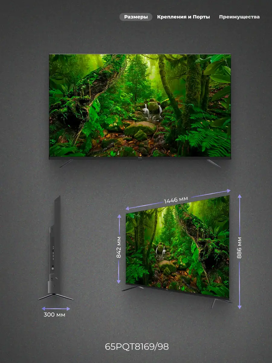 Philips QLED теледидары 65PQT8169/98 - фото 3