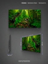 Philips QLED теледидары 65PQT8169/98 - фото 3