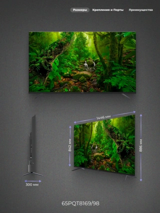 QLED TV Philips 65PQT8169/98 - фото 3